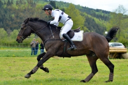 marbach-2015_cic3-gelaende-015-jpg