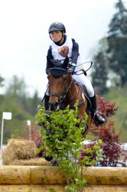 marbach-2015_cic3-gelaende-018-jpg