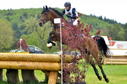 marbach-2015_cic3-gelaende-019-jpg