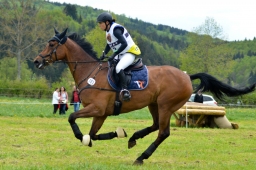 marbach-2015_cic3-gelaende-021-jpg
