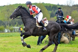 marbach-2015_cic3-gelaende-025-jpg