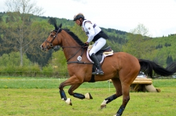 marbach-2015_cic3-gelaende-030-jpg