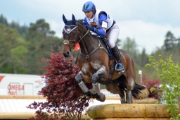 marbach-2015_cic3-gelaende-031-jpg