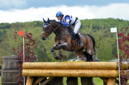 marbach-2015_cic3-gelaende-033-jpg