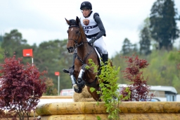 marbach-2015_cic3-gelaende-034-jpg