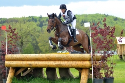 marbach-2015_cic3-gelaende-035-jpg