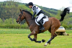 marbach-2015_cic3-gelaende-036-jpg