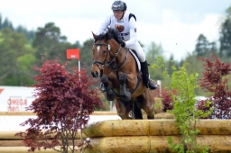 marbach-2015_cic3-gelaende-038-jpg