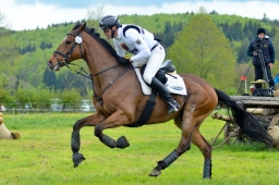 marbach-2015_cic3-gelaende-042-jpg