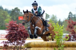 marbach-2015_cic3-gelaende-043-jpg