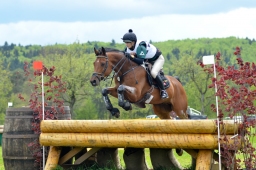 marbach-2015_cic3-gelaende-044-jpg