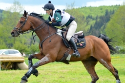 marbach-2015_cic3-gelaende-045-jpg