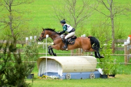 marbach-2015_cic3-gelaende-046-jpg