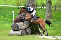 marbach-2015_cic3-gelaende-047-jpg