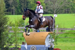 marbach-2015_cic3-gelaende-055-jpg