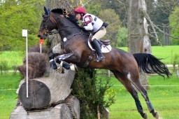 marbach-2015_cic3-gelaende-056-jpg