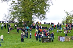 marbach-2015_cic3-gelaende-058-jpg