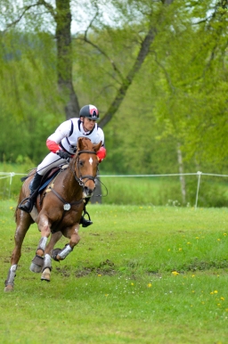 marbach-2015_cic3-gelaende-066-jpg