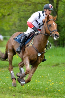 marbach-2015_cic3-gelaende-067-jpg