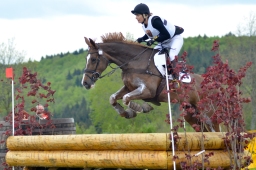 marbach-2015_cic3-gelaende-076-jpg