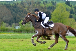 marbach-2015_cic3-gelaende-077-jpg