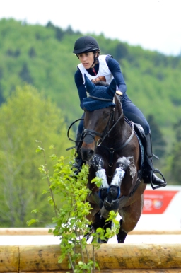 marbach-2015_cic3-gelaende-078-jpg