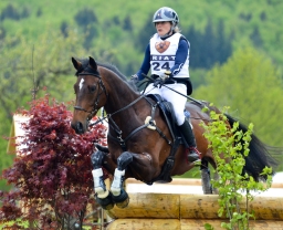 marbach-2015_cic3-gelaende-080-jpg