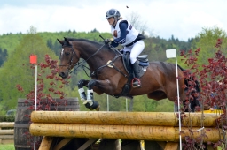 marbach-2015_cic3-gelaende-081-jpg