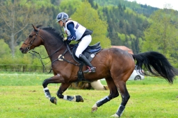 marbach-2015_cic3-gelaende-082-jpg