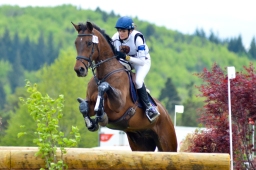 marbach-2015_cic3-gelaende-085-jpg