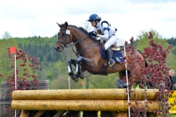 marbach-2015_cic3-gelaende-086-jpg