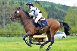 marbach-2015_cic3-gelaende-087-jpg