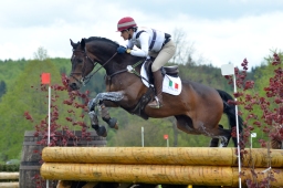 marbach-2015_cic3-gelaende-089-jpg