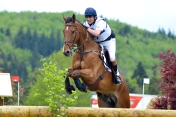 marbach-2015_cic3-gelaende-090-jpg