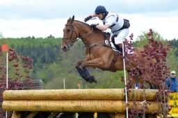marbach-2015_cic3-gelaende-091-jpg