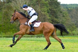 marbach-2015_cic3-gelaende-092