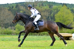 marbach-2015_cic3-gelaende-097