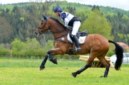 marbach-2015_cic3-gelaende-099