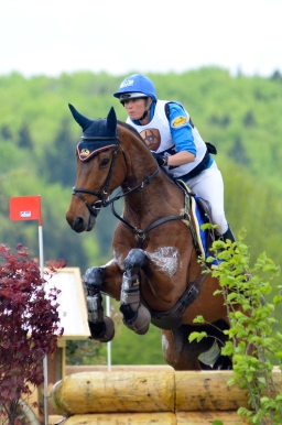 marbach-2015_cic3-gelaende-100