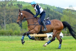 marbach-2015_cic3-gelaende-104