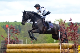 marbach-2015_cic3-gelaende-105