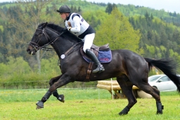 marbach-2015_cic3-gelaende-106