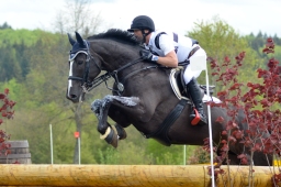 marbach-2015_cic3-gelaende-108