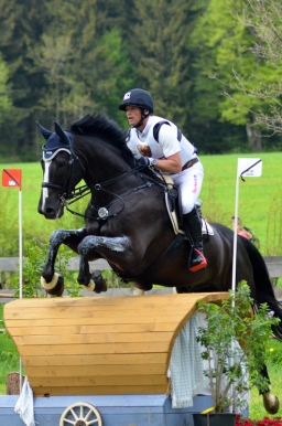 marbach-2015_cic3-gelaende-111