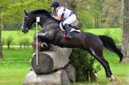 marbach-2015_cic3-gelaende-112