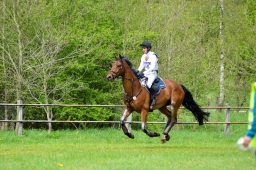 marbach-2015_cic3-gelaende-113
