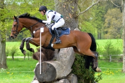 marbach-2015_cic3-gelaende-115
