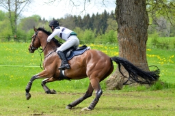 marbach-2015_cic3-gelaende-116