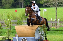 marbach-2015_cic3-gelaende-117