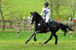 marbach-2015_cic3-gelaende-119